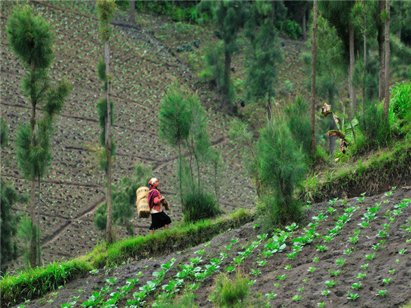 土壤墑情監測站可提供全面的信息服務 土壤墑情監測站可提供全面的信息服務