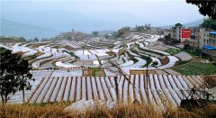 土壤養分速測儀測試樣地和環境因素