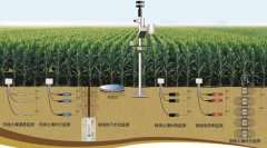 土壤墑情怎么讀，在實(shí)際農(nóng)業(yè)中應(yīng)用怎樣？