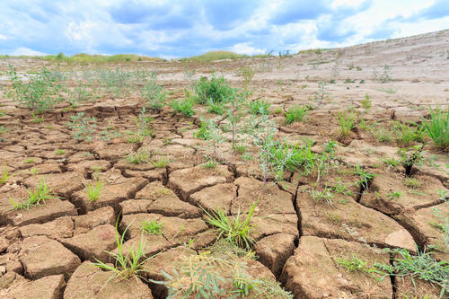 1577695304418147.jpg u=1260457328,3851342484&fm=26&gp=0.jpg