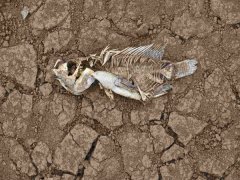 安裝土壤墑情自動監(jiān)測系統(tǒng)的意義在哪里？