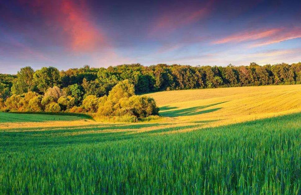 土壤墑情監測系統在旱情分析中的作用 土壤墑情監測系統在旱情分析中的作用