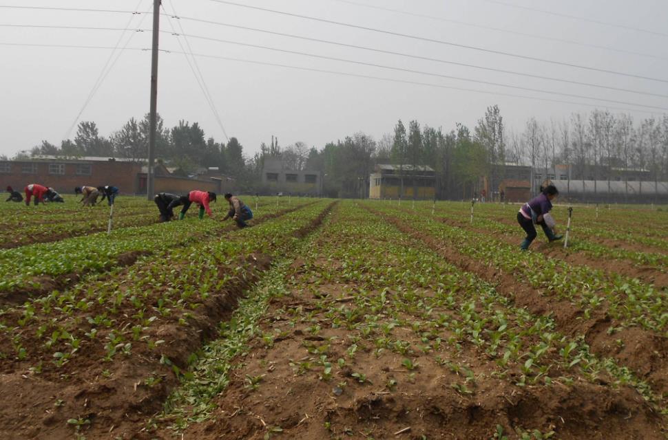 土壤含水量是如何計算的？