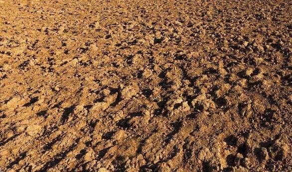 土壤墑情監(jiān)測(cè)烘干法介紹 土壤墑情監(jiān)測(cè)烘干法介紹