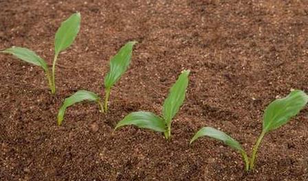 物聯網技術在土壤墑情監測系統中的應用 物聯網技術在土壤墑情監測系統中的應用