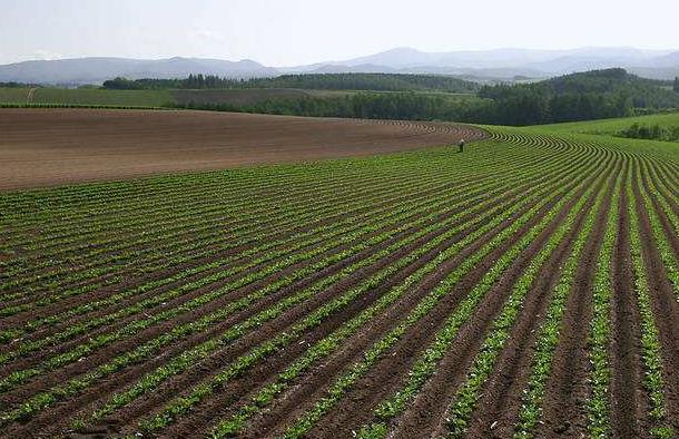 神經網絡法能用于土壤墑情預測嗎？