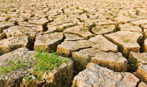 目測(cè)土壤墑情？