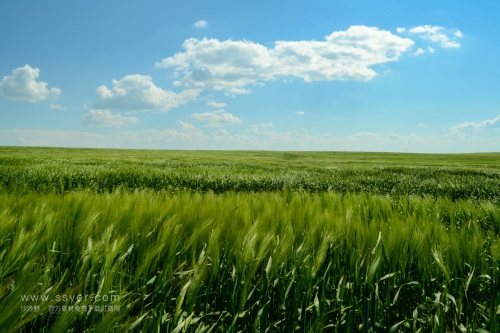 智慧農業帶來了什么？